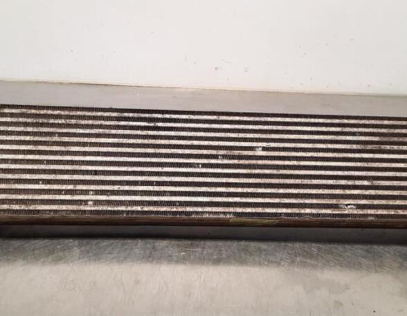 Intercooler OPEL MOVANO B Platform/Chassis (X62), OPEL MOVANO B Bus (X62)