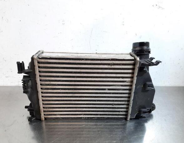 Intercooler NISSAN QASHQAI II SUV (J11, J11_)