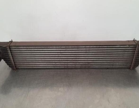 Intercooler OPEL MOVANO B Bus (X62), OPEL MOVANO B Van (X62), OPEL MOVANO B Platform/Chassis (X62)