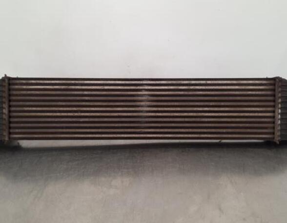 Intercooler OPEL MOVANO B Bus (X62), OPEL MOVANO B Van (X62), OPEL MOVANO B Platform/Chassis (X62)