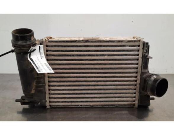 Intercooler NISSAN QASHQAI II SUV (J11, J11_)