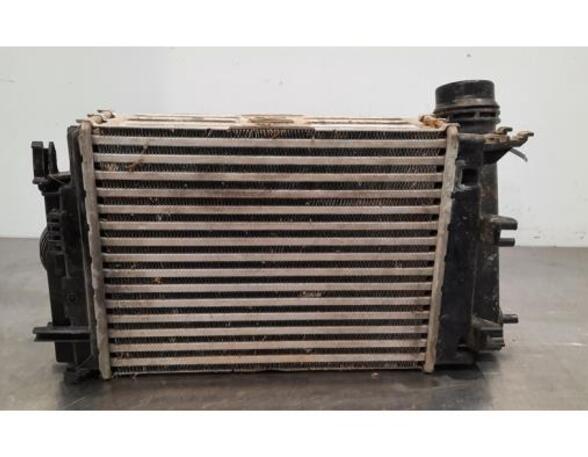 Intercooler NISSAN QASHQAI II SUV (J11, J11_)