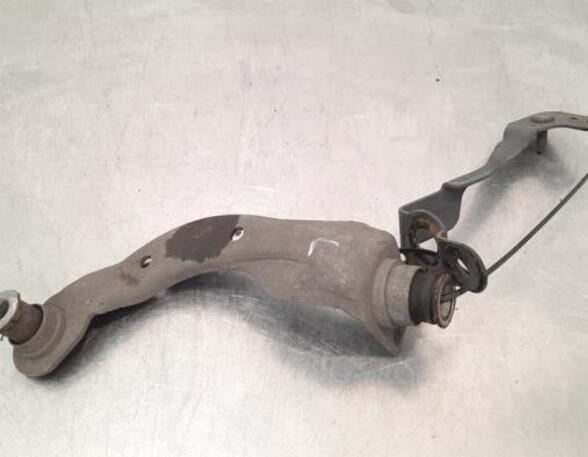 Engine Mount Bracket RENAULT KANGOO Express (FW0/1_)