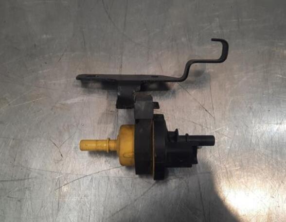 Vacuum Pump RENAULT CLIO V (B7_)