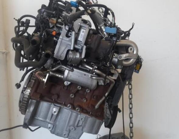 Bare Engine RENAULT CLIO III (BR0/1, CR0/1), RENAULT CLIO IV (BH_)