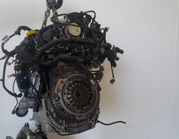 Bare Engine RENAULT CLIO III (BR0/1, CR0/1), RENAULT CLIO IV (BH_)