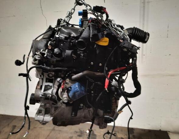 Motor kaal RENAULT CLIO III Grandtour (KR0/1_), RENAULT CLIO IV Grandtour (KH_)