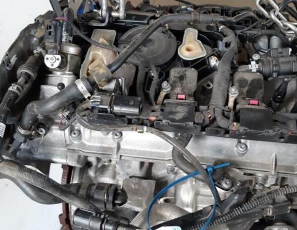 Bare Engine AUDI A4 Avant (8W5, 8WD, B9)