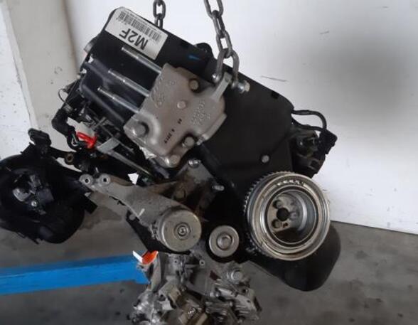 Bare Engine FIAT PANDA (312_, 319_), LANCIA YPSILON (312_), FIAT PANDA VAN (312_, 519_), FIAT 500 (312_)