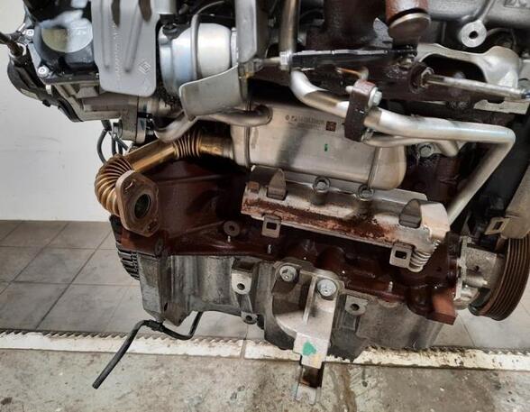 Motor kaal RENAULT KANGOO Express (FW0/1_)