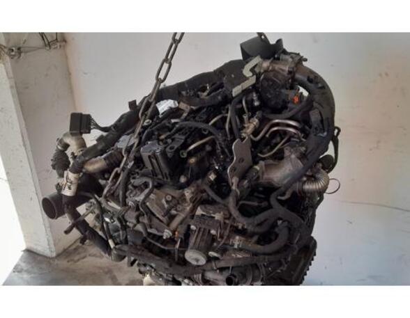 
Motor ohne Anbauteile (Diesel) Ford Transit Connect V408 Kasten/Großraumlimousine  KV6Q6006DA P20952152
