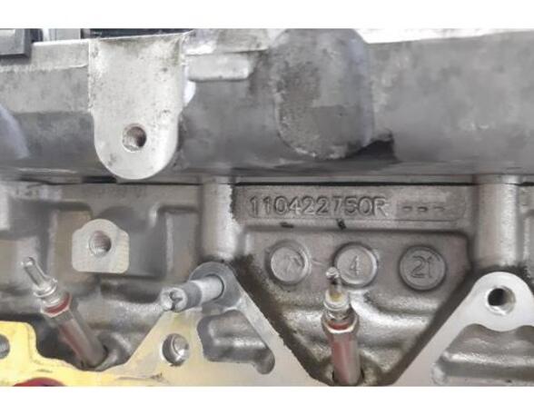 Engine Block RENAULT MASTER III Van (FV)