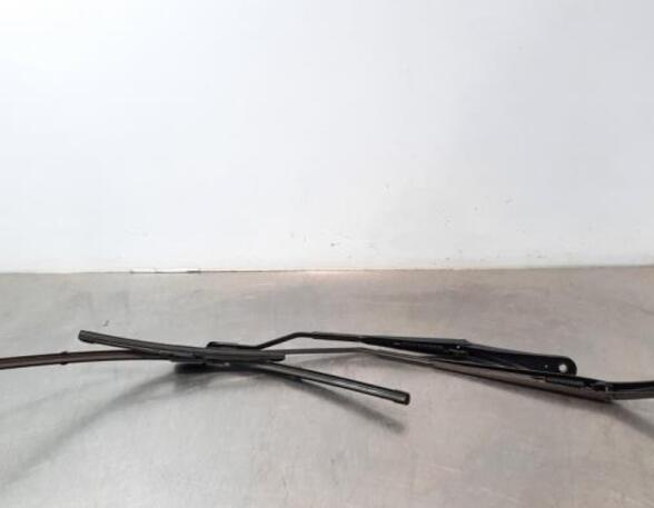 Wiper Arm RENAULT CLIO V (B7_)