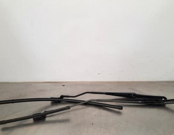 Wiper Arm RENAULT CLIO V (B7_)