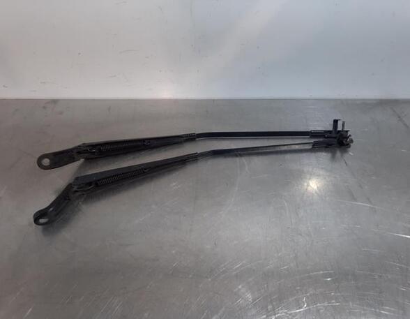 Wiper Arm PEUGEOT 407 (6D_), PEUGEOT 407 Coupe (6C_)