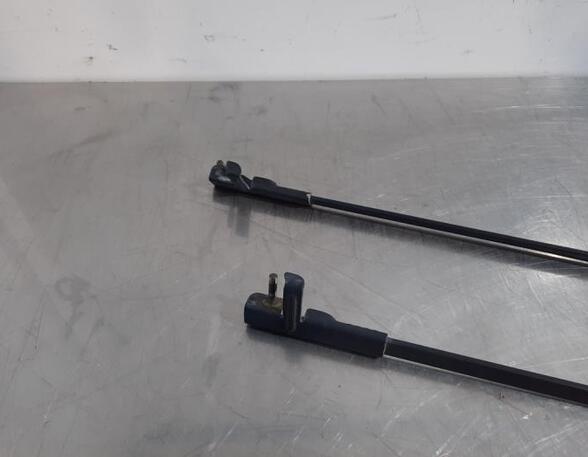 Wiper Arm PEUGEOT 407 (6D_), PEUGEOT 407 Coupe (6C_)