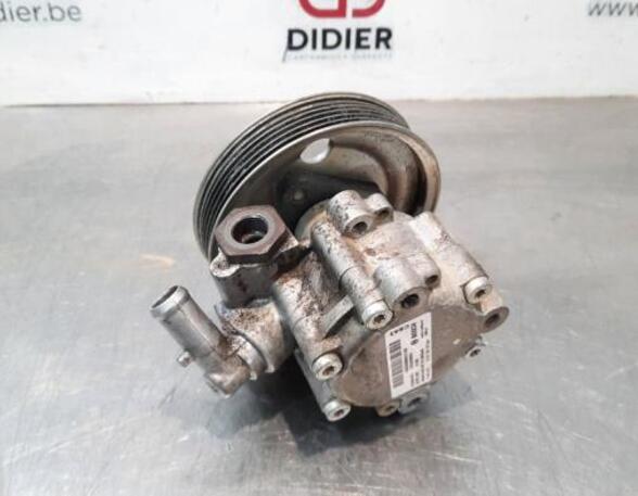 Power steering pump FIAT DOBLO Cargo (263_), FIAT DOBLO Platform/Chassis (263_)