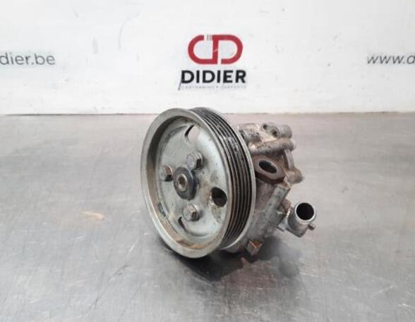 Power steering pump FIAT DOBLO Cargo (263_), FIAT DOBLO Platform/Chassis (263_)