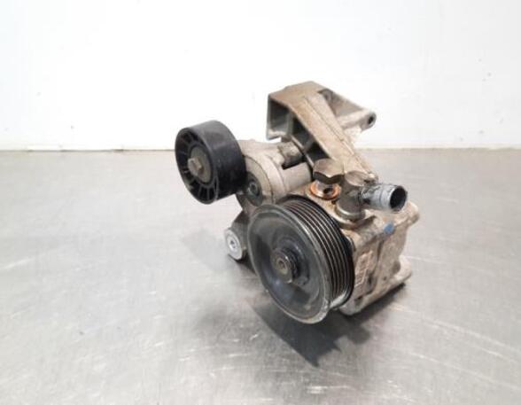 Power steering pump FIAT DUCATO Van (250_, 290_), FIAT DUCATO Bus (250_, 290_)