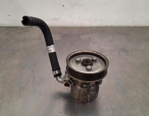 Power steering pump FIAT DOBLO Cargo (263_), FIAT DOBLO MPV (263_), FIAT DOBLO Platform/Chassis (263_)