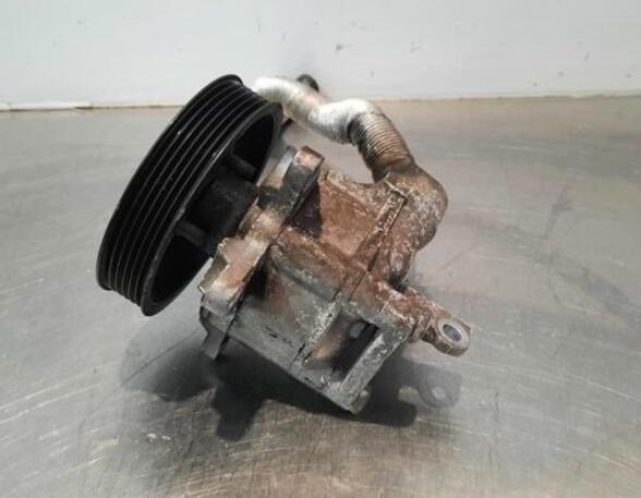 Power steering pump PORSCHE PANAMERA (970)