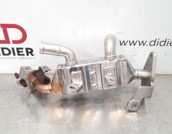 Koeler voor EGR RENAULT CLIO V (B7_)