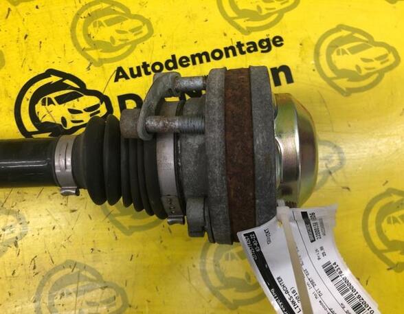 Drive Shaft AUDI A6 Allroad (4GH, 4GJ), AUDI A6 Avant (4G5, 4GD)