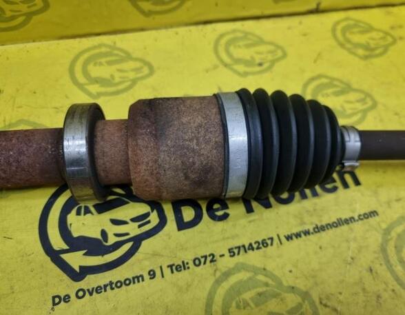 Drive Shaft RENAULT Clio III (BR0/1, CR0/1), RENAULT Clio IV (BH)