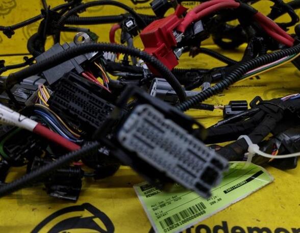 Wiring Harness RENAULT Captur I (H5, J5), RENAULT Clio IV (BH)