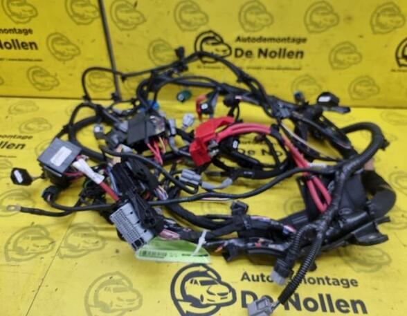 Wiring Harness RENAULT Captur I (H5, J5), RENAULT Clio IV (BH)