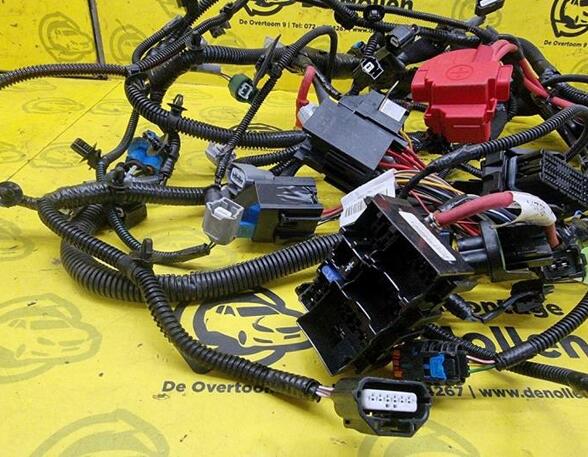 Wiring Harness RENAULT Captur I (H5, J5), RENAULT Clio IV (BH)