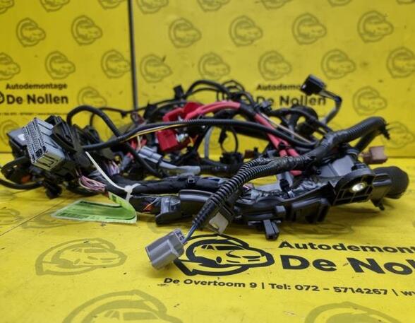 Wiring Harness RENAULT Captur I (H5, J5), RENAULT Clio IV (BH)