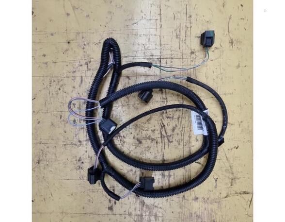 Wiring Harness RENAULT Zoe (BFM)