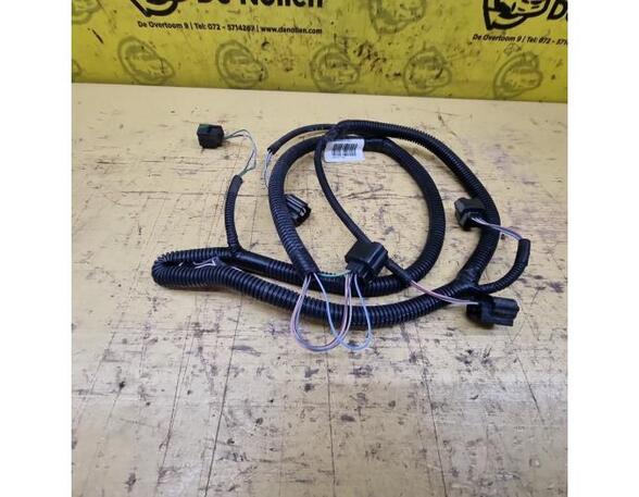 Wiring Harness RENAULT Zoe (BFM)