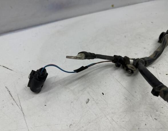 Wiring Harness SEAT ALTEA (5P1), SEAT ALTEA XL (5P5, 5P8), SEAT TOLEDO III (5P2)