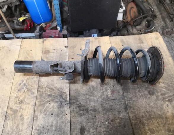 Suspension Strut FORD Galaxy (WA6), FORD S-Max (WA6)