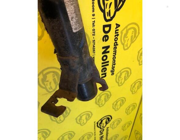 Suspension Strut RENAULT Espace IV (JK0/1)