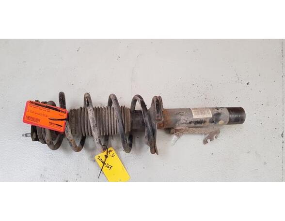 Suspension Strut FORD Transit Connect (P65, P70, P80)