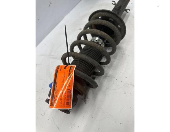 Suspension Strut AUDI A3 (8L1)