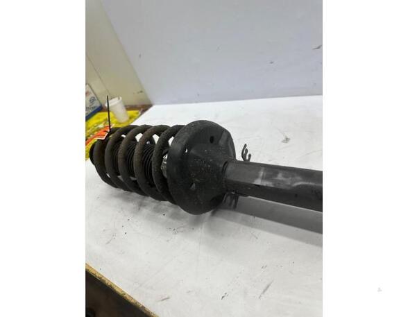 Suspension Strut AUDI A3 (8L1)