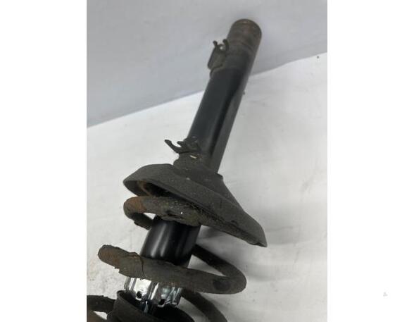 Suspension Strut AUDI A3 (8L1)