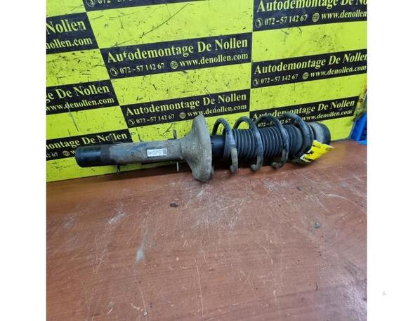 Suspension Strut VW Golf IV (1J1)