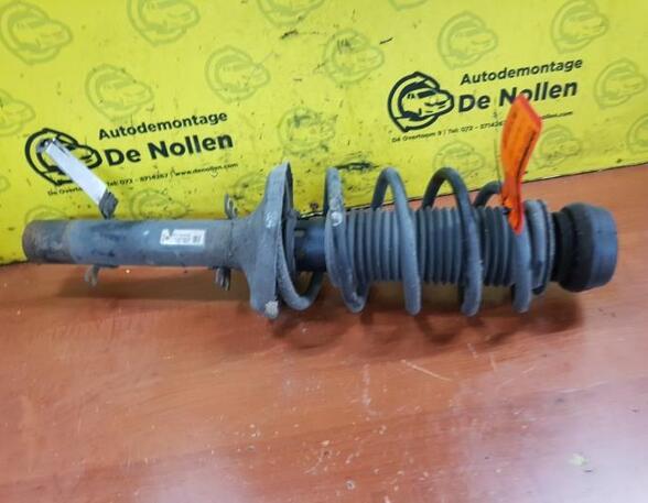 Shock Absorber VW Golf IV (1J1)