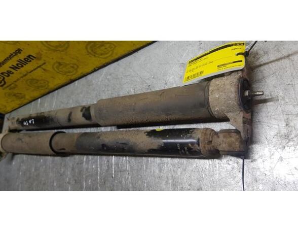 Shock Absorber FORD Focus III (--)