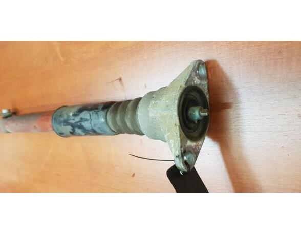 Shock Absorber AUDI A6 (4F2, C6)