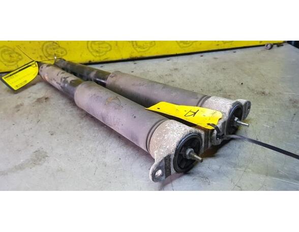 Shock Absorber FORD Focus III (--)