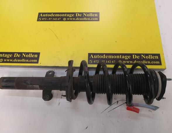 Shock Absorber FORD Transit V363 Kasten (FCD, FDD)