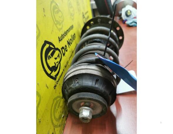 Shock Absorber ALFA ROMEO Mito (955)