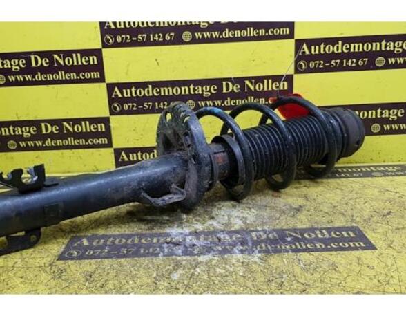 Shock Absorber SEAT Ibiza IV (6J5, 6P1), SEAT Ibiza IV Sportcoupe (6J1, 6P5)