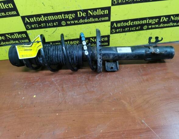 Shock Absorber SEAT Ibiza IV (6J5, 6P1), SEAT Ibiza IV Sportcoupe (6J1, 6P5)